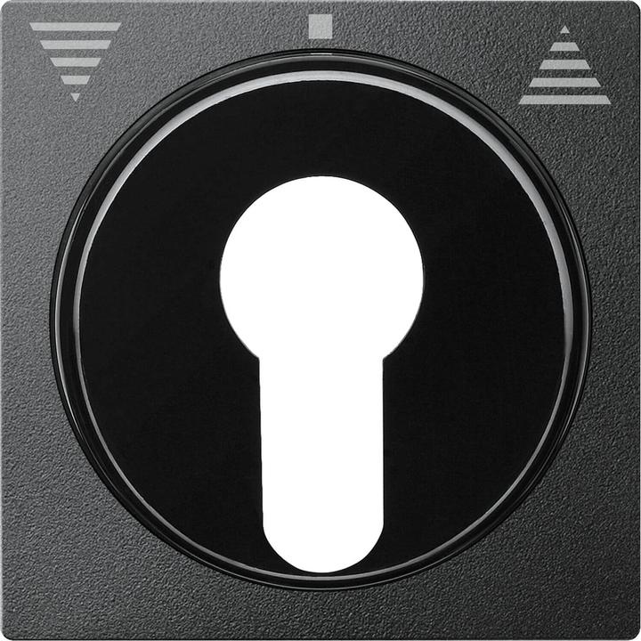 Actual product image Merten Central plate for roller shutter push-button 319314