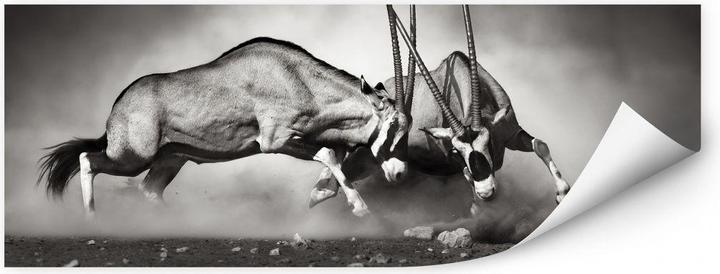 Produktbild Trenddeko Das Duell (200 x 80 cm)