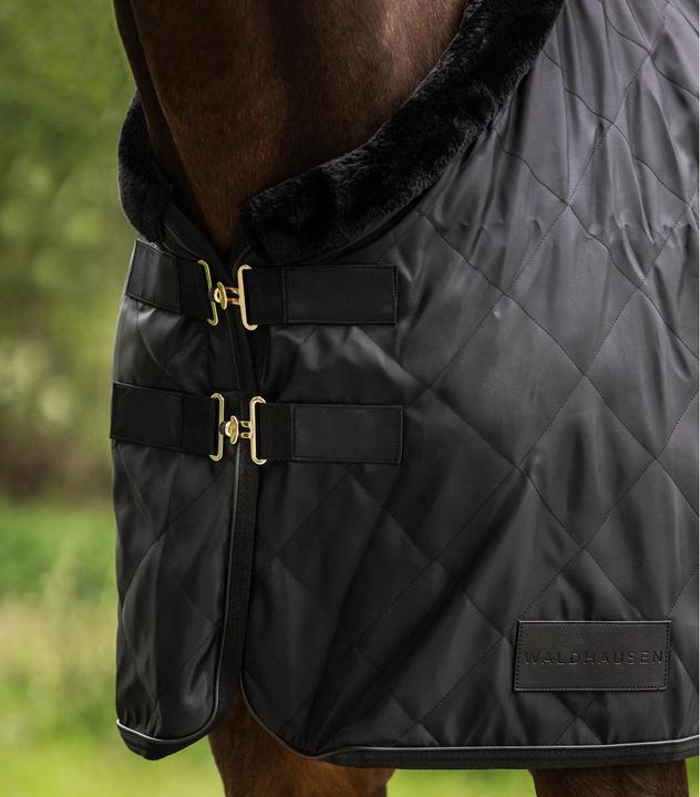 Produktbild Waldhausen Exclusive 50 g (155 cm)