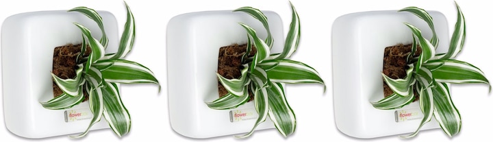 Immagine prodotto Flowerbox Set di 3 Wall Greening Box 1