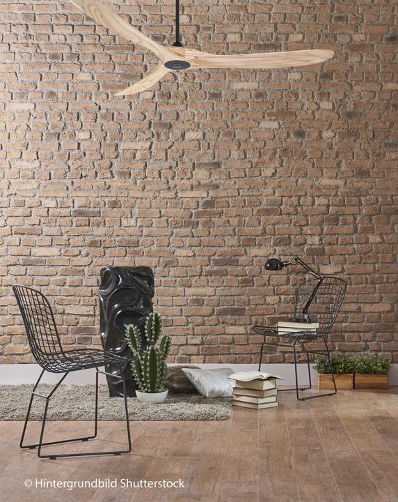 Produktbild CasaFan Eco Genuino (22 dB)