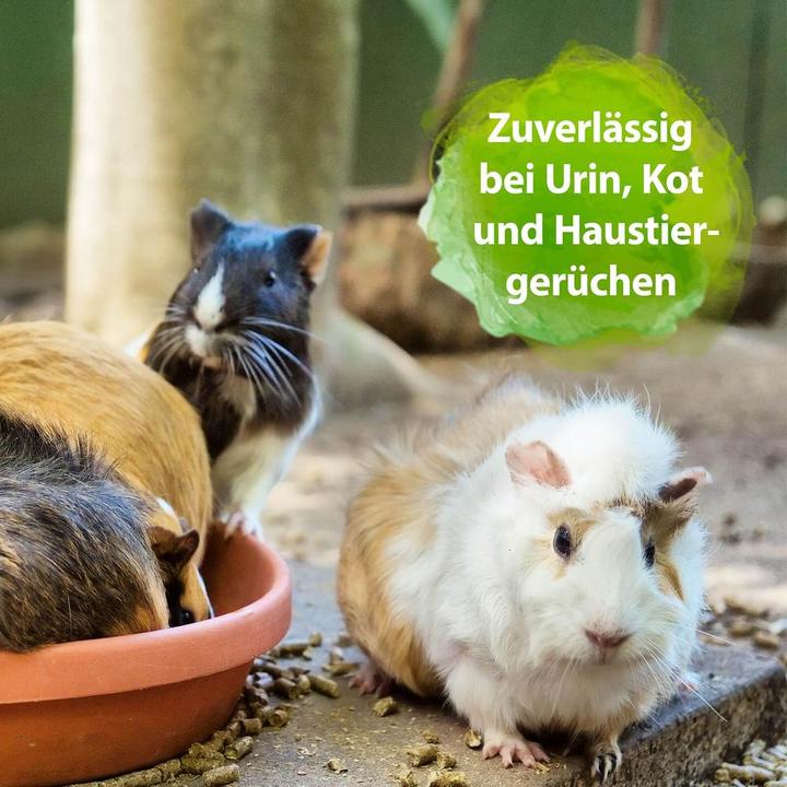 Produktbild Ardap Geruchsentferner und Reiniger (0.62 kg)