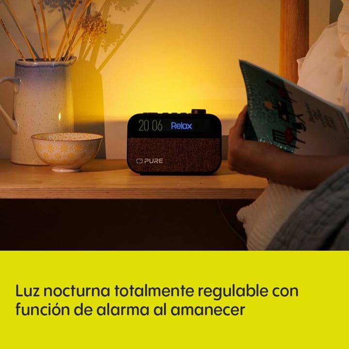 Actual product image Pure Moment (DAB+, FM, Bluetooth)