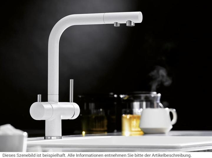 Actual product image Blanco Fontas-S II filter