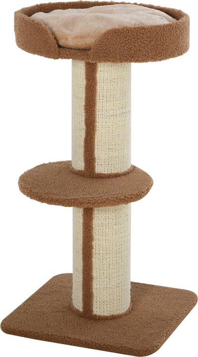 Katzenbaum