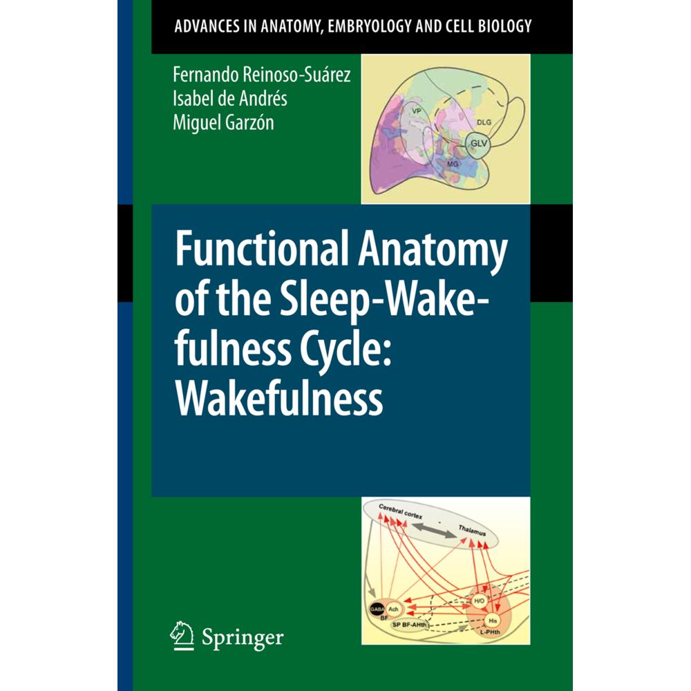 Functional Anatomy of the Sleep-Wakefulness Cycle: Wakefulness, Fachbücher von Miguel Garzón, Isabel de Andrés, Fernando...