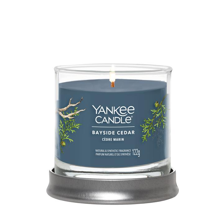 Produktbild Yankee Candle Duftkerze Bayside Cedar Signature Small Tumbler