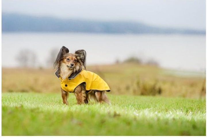 Image du produit Rukka Flux (55, Manteau pour chien)