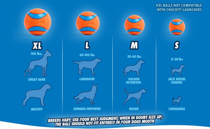 Actual product image Chuckit! Sport Ball Launcher 14S (Dog chew toy)