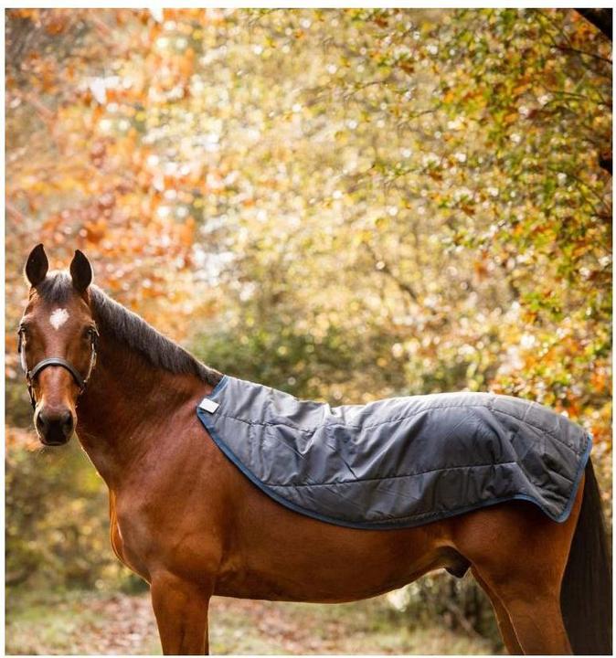 Produktbild Horseware Weidedecke Autumn Series Rambo (155 cm)