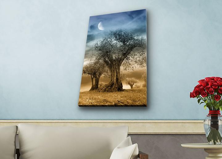 Produktbild Wallxpert Marco (45 x 70 cm)
