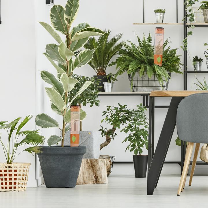 Produktbild Relaxdays Tonspitzen (Tonkegel)