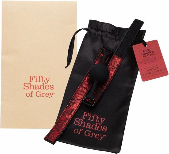 Produktbild Fifty Shades of Grey Sweet Anticipation Ball Gag