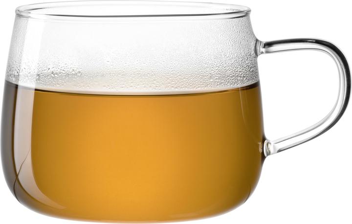 Immagine prodotto Leonardo Tè per te (450 ml, 1 x)
