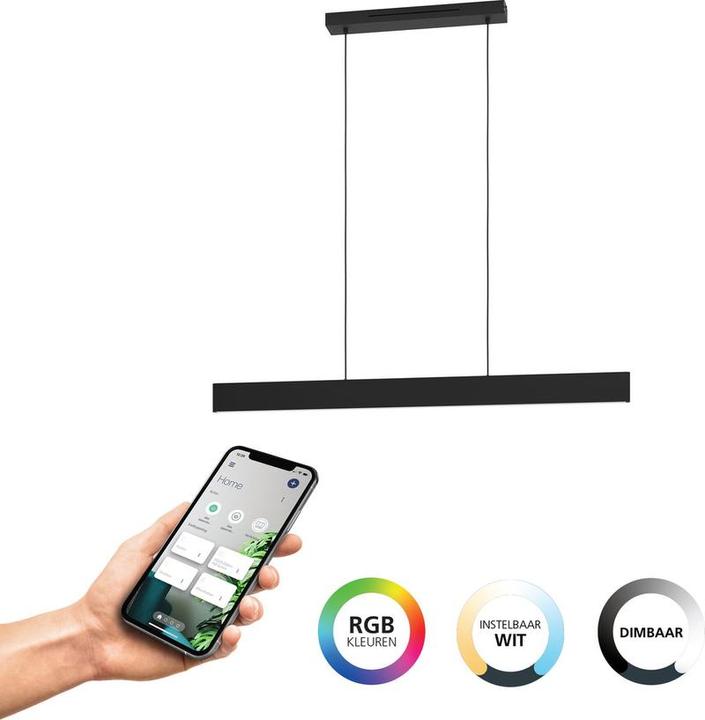 Image du produit EGLO Andreas-Z (4600 lm)