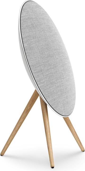 Actual product image B&O Beosound A9 5.G Natural Aluminium WK7 (Electrical connection)