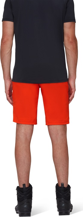 Actual product image Mammut Taiss SO Shorts Men (54)
