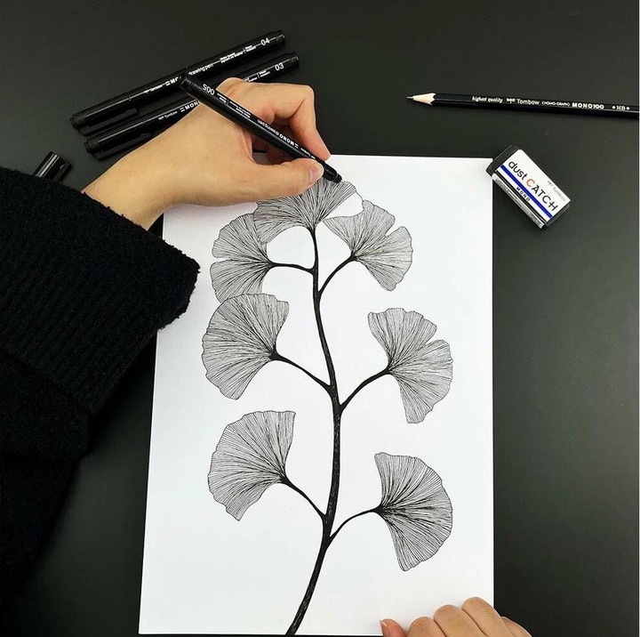 Actual product image Tombow Mono Drawing Pen (Black, 4 x)