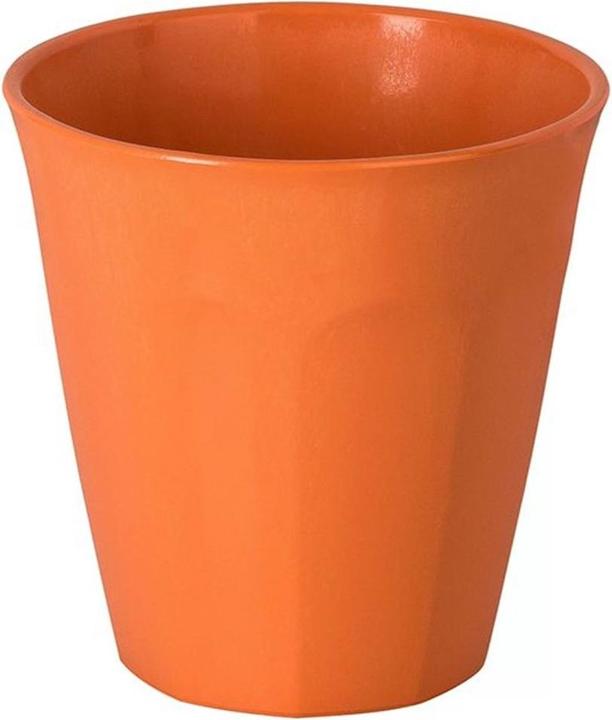 Rot