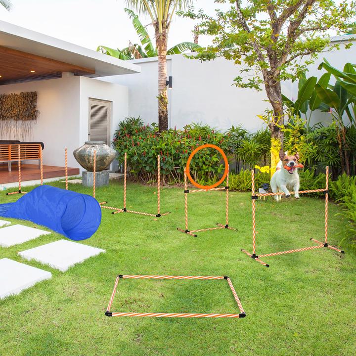 Produktbild PawHut Set (Agility)