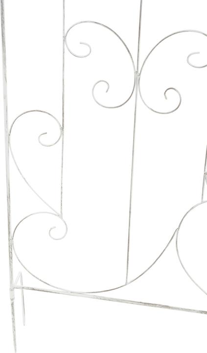 Immagine prodotto CLP Mandevilla (1 cm, 99 cm)