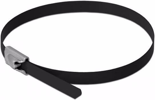 Actual product image Delock Stainless steel cable tie 300x4,6 10 pcs. (Metal cable ties, 300 mm, 10 pcs.)