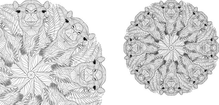 Actual product image Tier-Mandalas