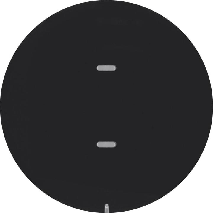 Actual product image Berker 80161865