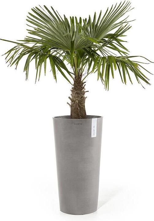 Produktbild Ecopots Amsterdam halbhoch (50 cm)