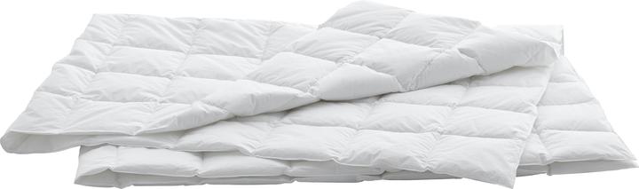 Produktbild Swiss Dream by billerbeck Caro Basic 90 (310 g, 160 x 240 cm)