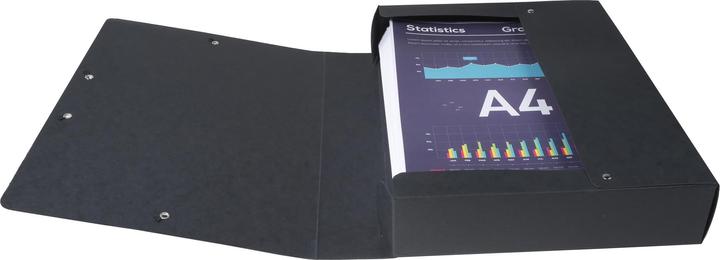 Produktbild Exacompta Exabox (A4)