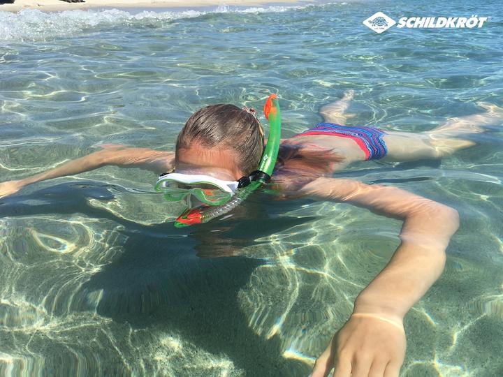 Produktbild Schildkröt Tauchset