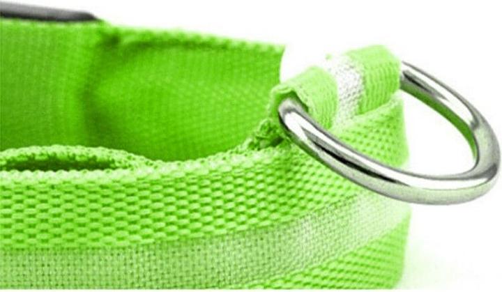 Image du produit Cbx Collier de chien à LED rechargeable taille M - 40-46cm (M, Chien)