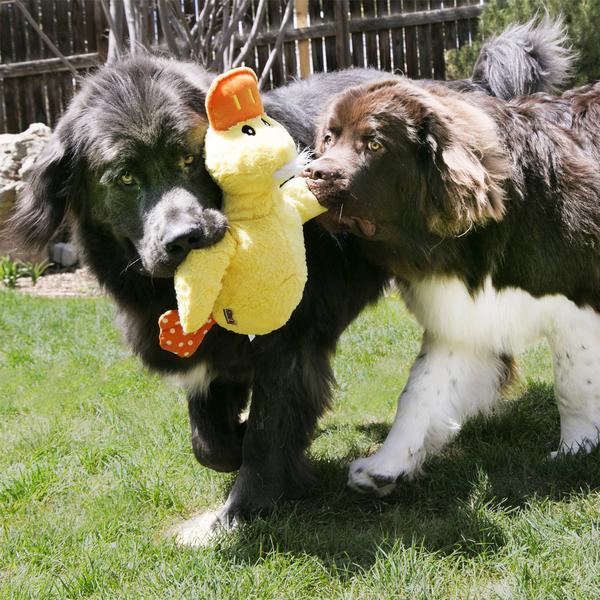 Produktbild KONG Comfort Jumbo (Plüschspielzeug Hund)