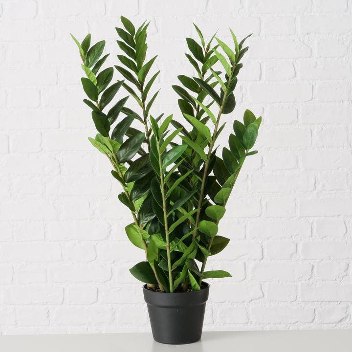 Actual product image Boltze Home Zamioculcas (76 cm)
