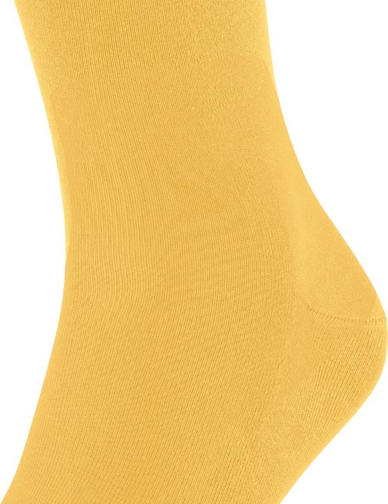 Actual product image Falke Cool 24/7 Baumwollsocken (Single pack, 45 - 46)
