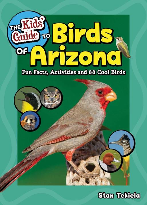 The Kids' Guide to Birds of Arizona (Englisch, Stan Tekiela, 2021)