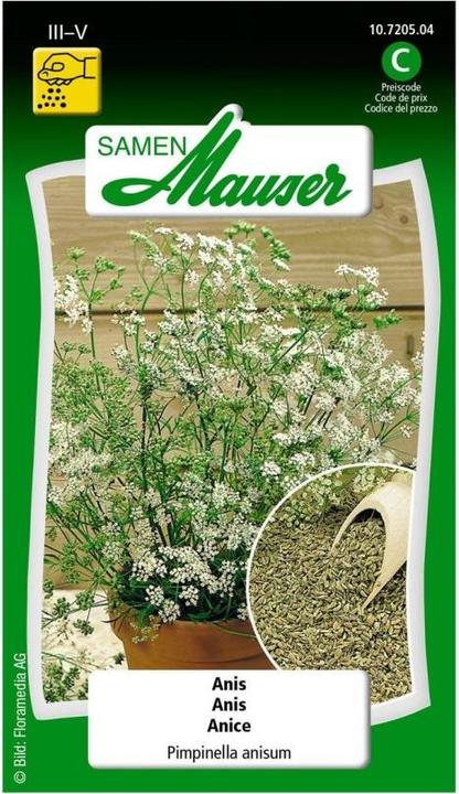 Produktbild Samen Mauser Anis (Kräutersamen)