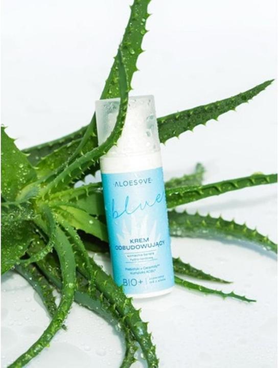 Actual product image Aloesove Regenerating Face Cream 50ml - Vegan, Moisturizing, Restoring Skin Barrier for Dry and Dehy (50 ml, Night cream)