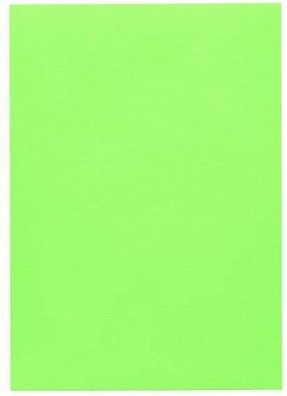 Actual product image Artoz 1001 A4 220g birch green 5 boxes (A4, 220 g/m², 5 x)