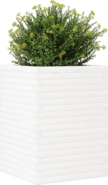 Immagine prodotto vidaXL Pflanzkübel