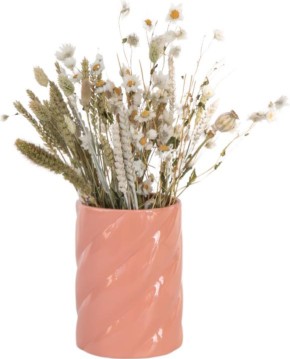 Actual product image Plant in a Box Phalaris, Papaver, tarwe (Triticum), Setarea, Acroclinium, Lagurus Ovatus - (35 cm)