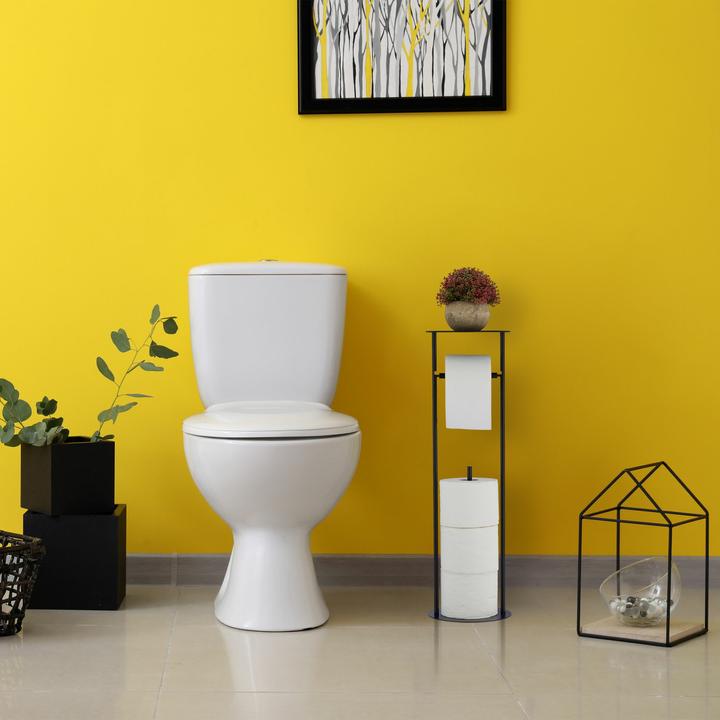 Image du produit Relaxdays Barrière cheminée (300 x 1,5 x 76 cm)