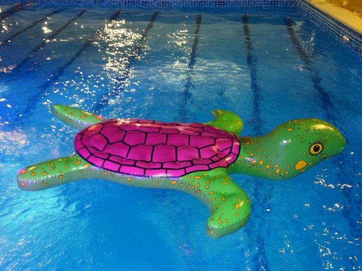 Image du produit Aircraft Jeu d'eau tortue