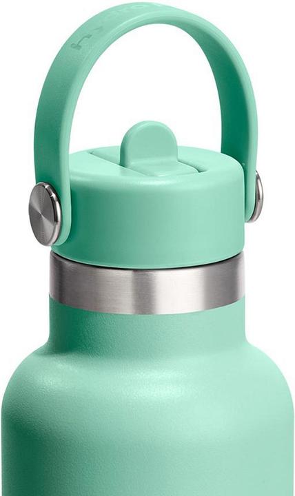 Produktbild Hydro Flask Trinkflasche Standard Flex Deckel mit Strohhalm (0.62 l)