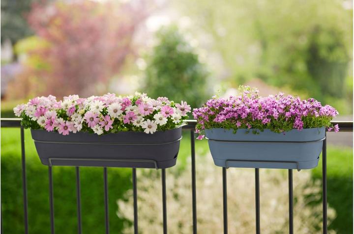 Produktbild Elho Vibia Campana Allin1 (26 cm)