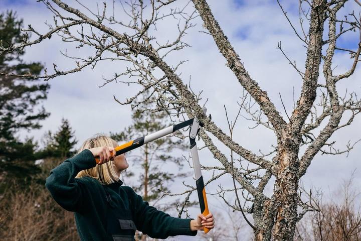 Actual product image Fiskars PowerGearX LX