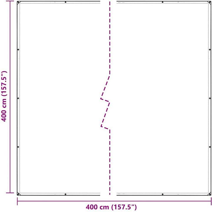 Image du produit vidaXL Bâche transparente avec oeillets 4x4 m PVC bâche transparente (400 x 400 cm)