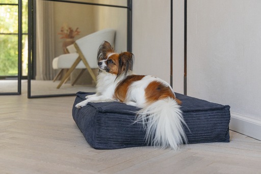 Productafbeelding Designed by Lotte Geribbeld kussen (Hond)