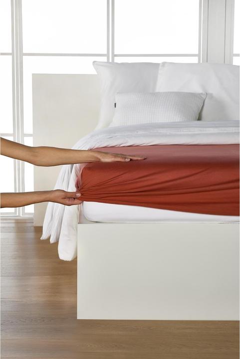 Produktbild Living Home Boxspring Feinjersey (200 x 200 cm)